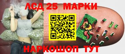 шишки Северобайкальск
