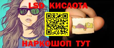 шишки Северобайкальск