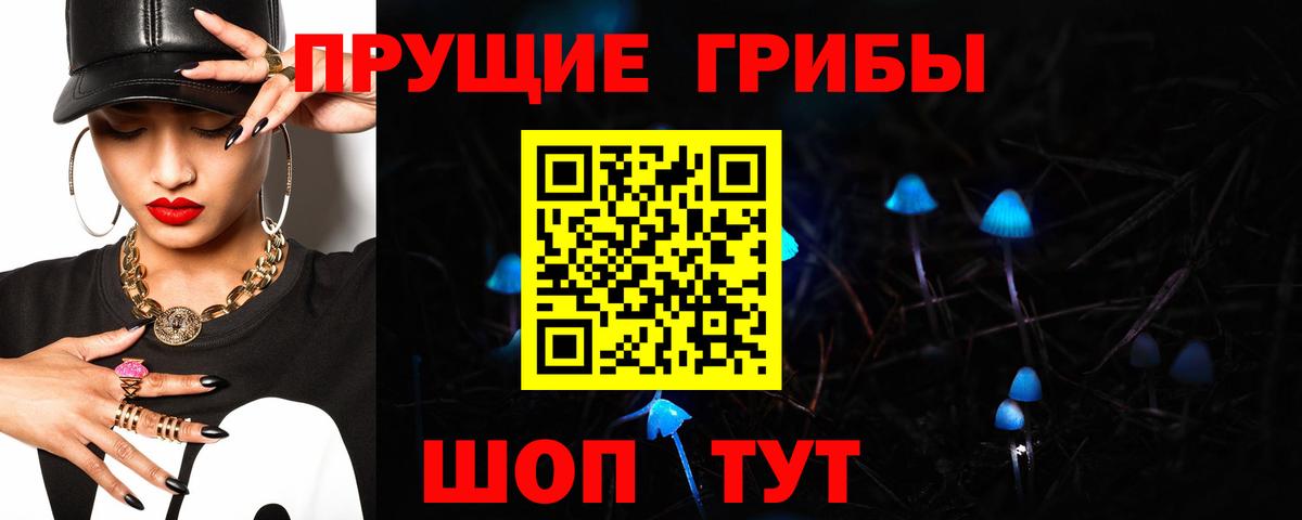 Новокубанск  купить   Вход с VPN  Псилоцибиновые грибы Cubensis  Псилоцибиновые грибы ЛСД 